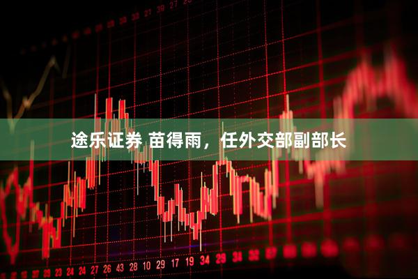 途乐证券 苗得雨，任外交部副部长