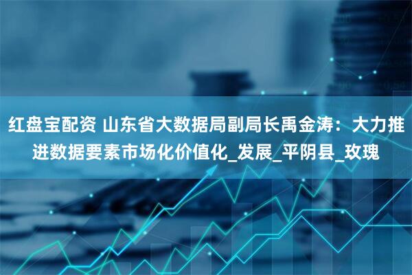 红盘宝配资 山东省大数据局副局长禹金涛:大力推进数据要素市场化价值化_发展_平阴县_玫瑰