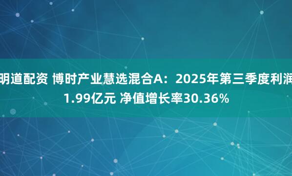 明道配资 博时产业慧选混合A：2025年第三季度利润1.99亿元 净值增长率30.36%