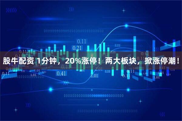 股牛配资 1分钟，20%涨停！两大板块，掀涨停潮！